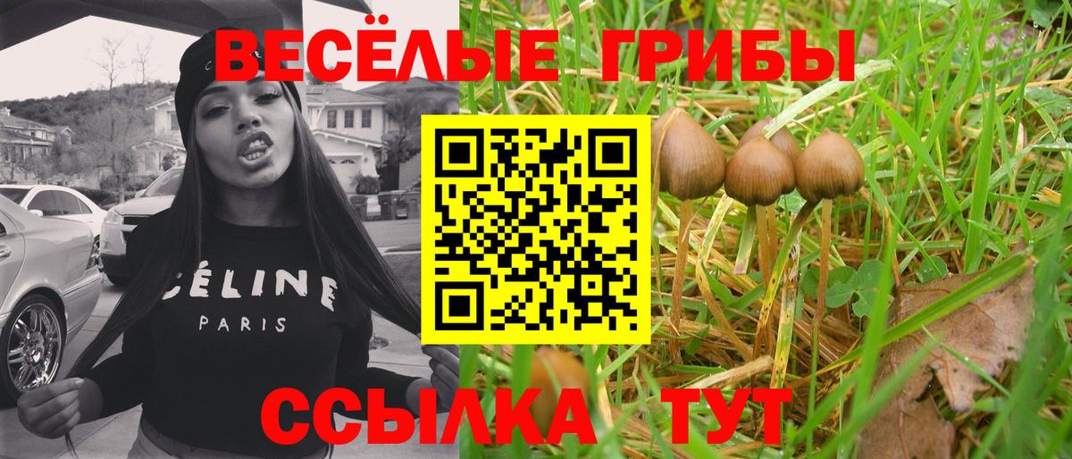Псилоцибиновые грибы ЛСД  Вход с VPN  Красный Сулин 