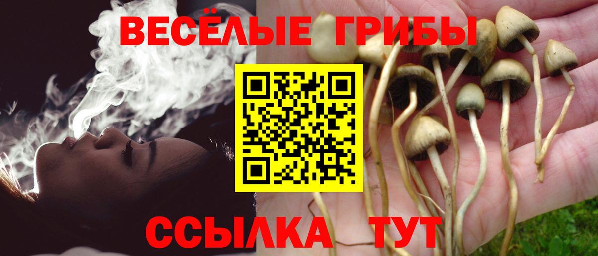 Псилоцибиновые грибы MAGIC MUSHROOMS Красный Сулин